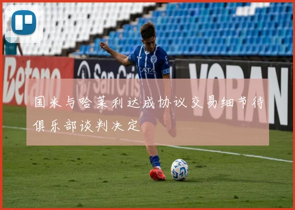 国米与哈莱利达成协议交易细节待俱乐部谈判决定