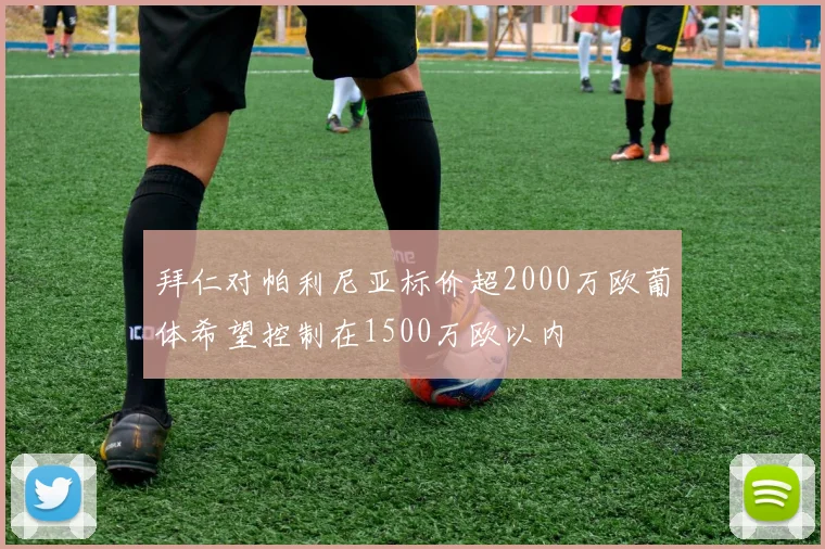拜仁对帕利尼亚标价超2000万欧葡体希望控制在1500万欧以内